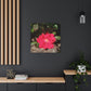Knockout | Wall Art Print | High Bloom Collection | Life By Ortavia