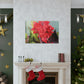 Red Canna | High Bloom Collection | Wall Art Print | Life By Ortavia