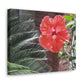 Art Prints & Wall Art, Gallery Canvas with Peach Hibiscus Flower