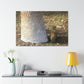 Squirrel and A Nut | Wall Art Print | Urban Geographic Collection | Life By Ortavia