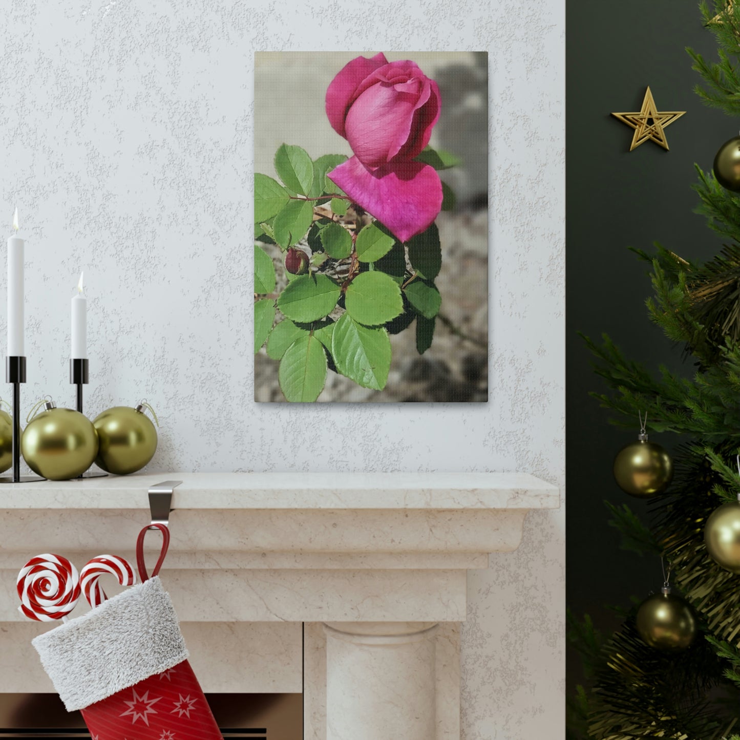 Dear Pink Rosa | High Bloom Collection | Canvas | Life By Ortavia