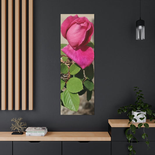 Dear Pink Rosa | High Bloom Collection | Canvas | Life By Ortavia
