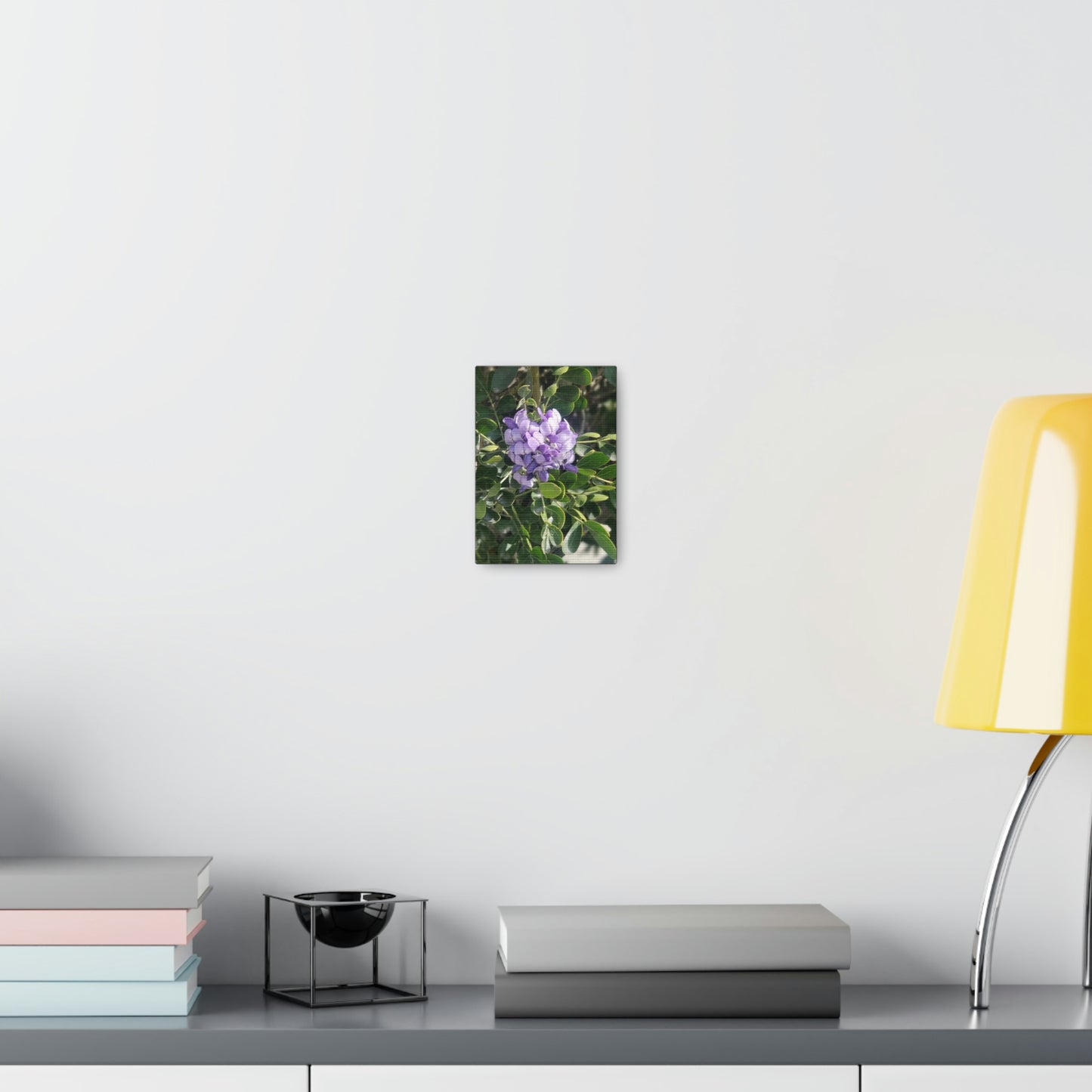 Purple Texas Mountain Laurel | Wall Art Canvas