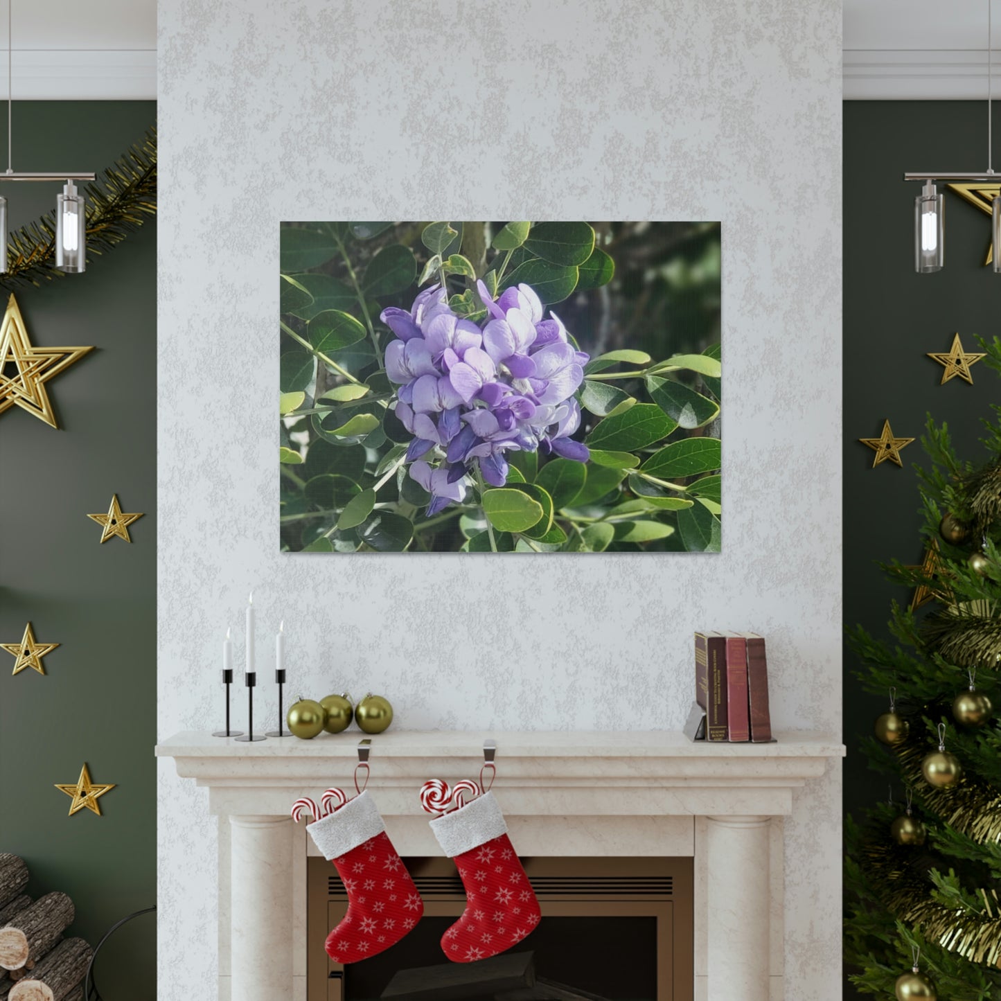 Purple Texas Mountain Laurel | Wall Art Canvas