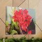 Red Canna | High Bloom Collection | Wall Art Print | Life By Ortavia