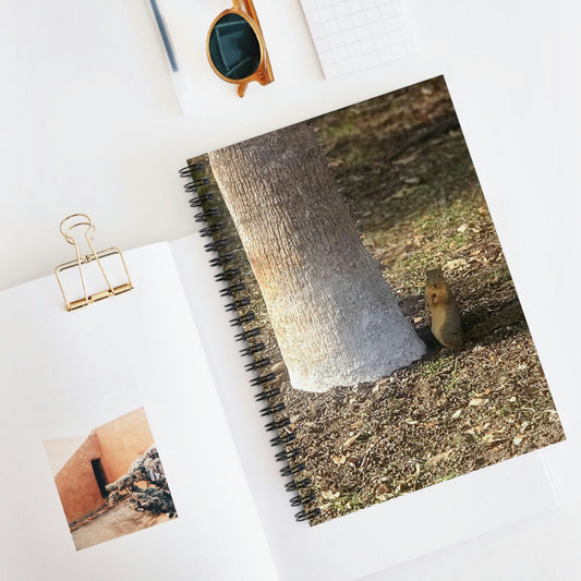 Squirrel and A Nut | Spiral Notebook 118 pg Ruled | Urban Geographic Collection | Life By Ortavia