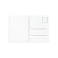 Dear Pink Rosa | Fine Art Postcards | 6'' x 4'' and 7'' x 5'' | High Bloom Collection | Life By Ortavia