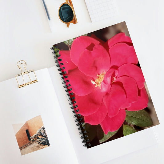Knockout | Spiral Notebook 118 pg Ruled | High Bloom Collection | Life By Ortavia