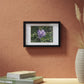 Framed Posters, Black