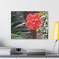 Art Prints & Wall Art, Gallery Canvas with Peach Hibiscus Flower