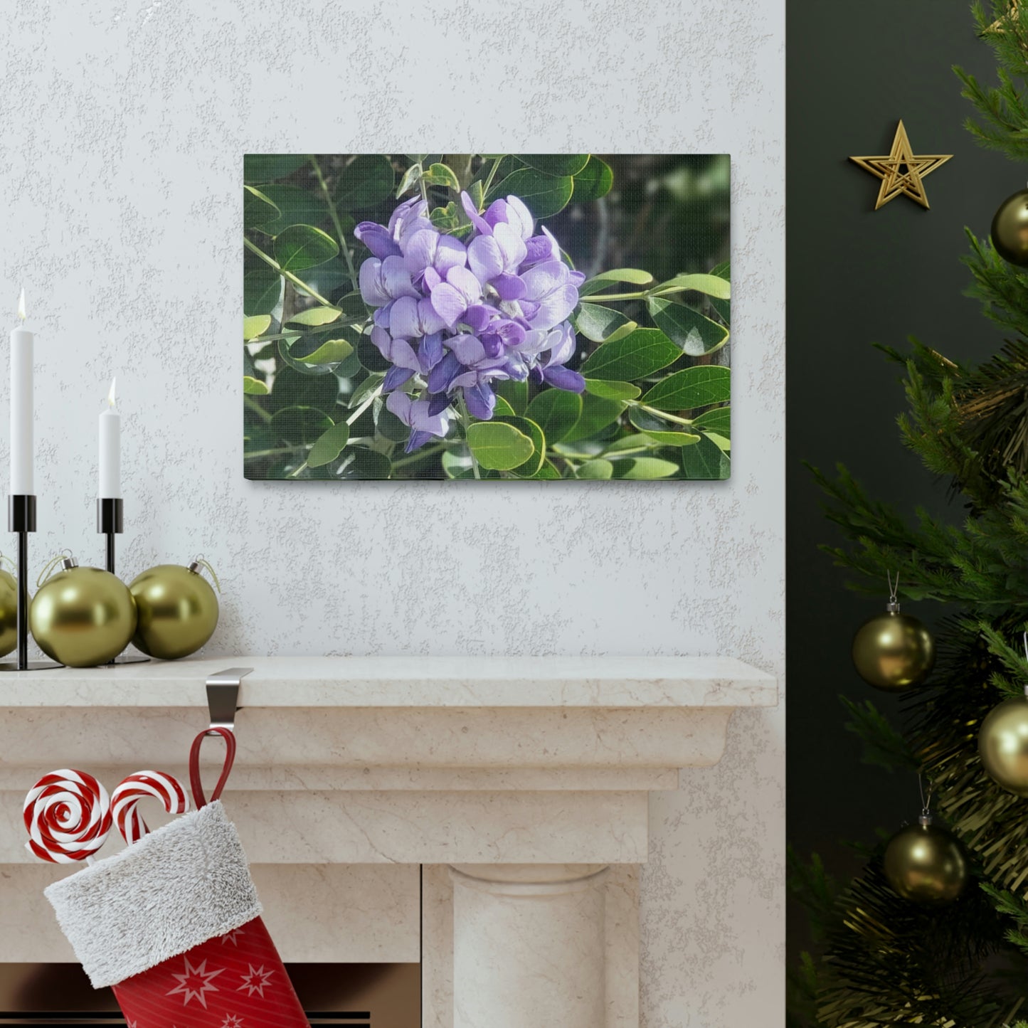 Purple Texas Mountain Laurel | Wall Art Canvas