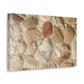 Big Gravel Sidewalk | Wall Art Print | Urban Geographic Collection | Life By Ortavia
