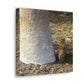 Squirrel and A Nut | Wall Art Print | Urban Geographic Collection | Life By Ortavia