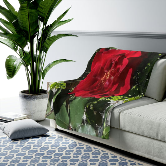 Cozy Velveteen Plush Throw Blanket with Europeana Red Rose Design 30x40 50x60 60x80