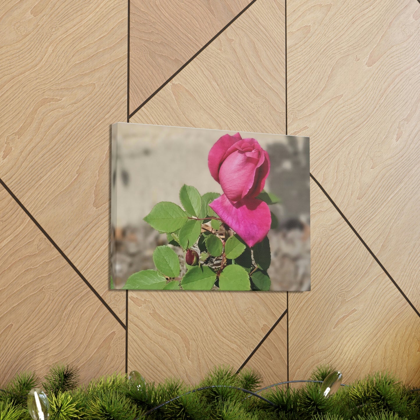 Dear Pink Rosa | High Bloom Collection | Canvas | Life By Ortavia
