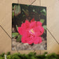 Knockout | Wall Art Print | High Bloom Collection | Life By Ortavia