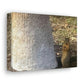 Squirrel and A Nut | Wall Art Print | Urban Geographic Collection | Life By Ortavia