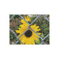 Sunflower Behind A Fence | 96 252 500 1000 pc Puzzle | Life By Ortavia