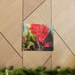 Red Canna | High Bloom Collection | Wall Art Print | Life By Ortavia