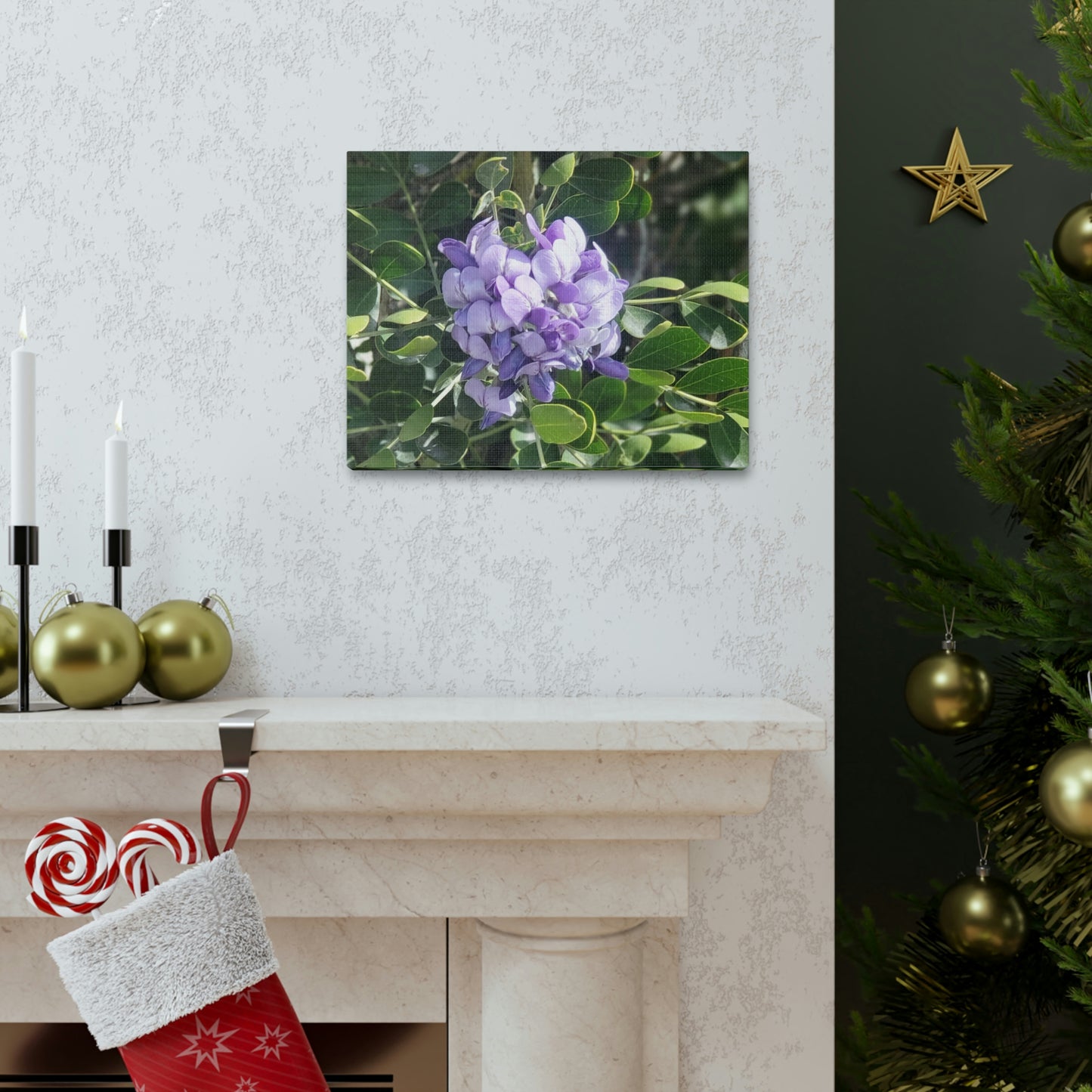 Purple Texas Mountain Laurel | Wall Art Canvas