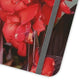 Red Canna | Folio Phone Case | High Bloom Collection | Life By Ortavia