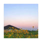 Sunflowers and a Rainbow Sky Canvas Gallery Wraps