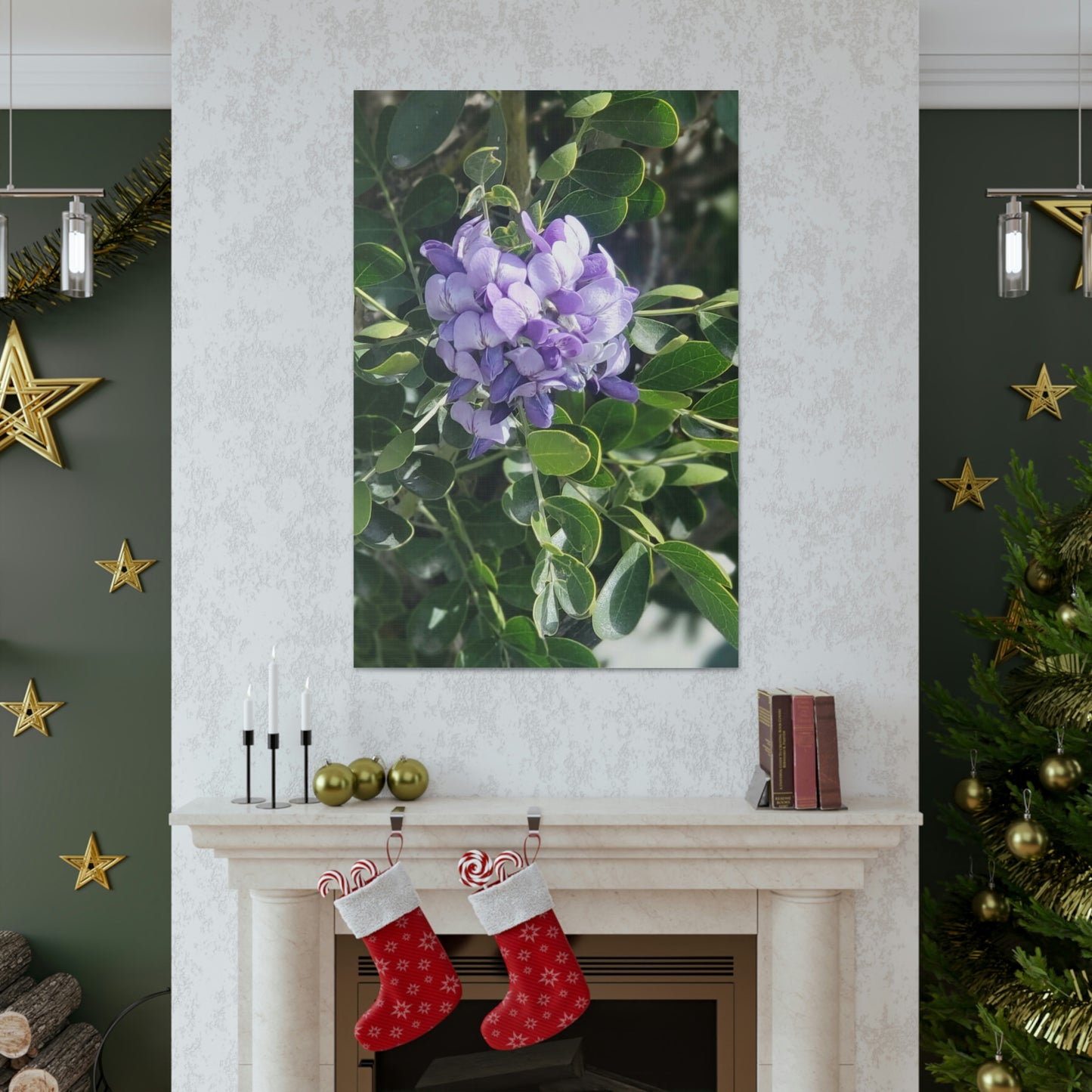 Purple Texas Mountain Laurel | Wall Art Canvas