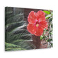 Art Prints & Wall Art, Gallery Canvas with Peach Hibiscus Flower