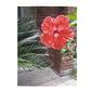 Velveteen Plush Blanket with Peach Hibiscus Flower Design