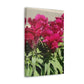 Magenta Snapdragon | Wall Art Canvas | High Bloom Collection | Life By Ortavia