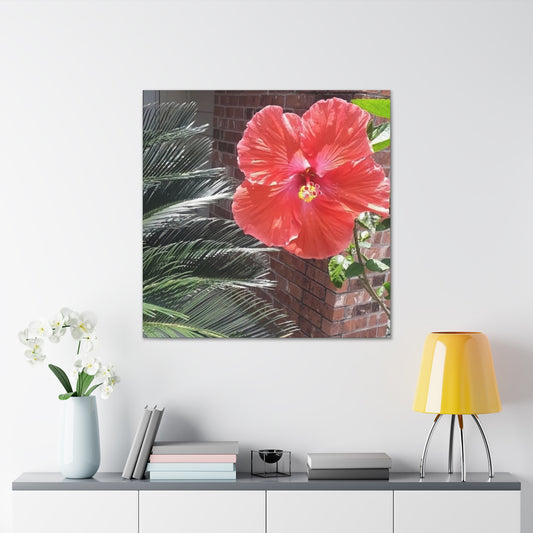 Art Prints & Wall Art, Gallery Canvas with Peach Hibiscus Flower