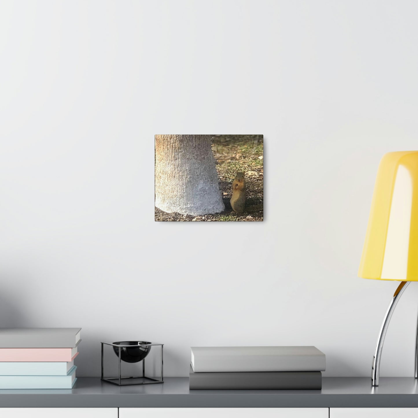 Squirrel and A Nut | Wall Art Print | Urban Geographic Collection | Life By Ortavia