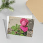 Dear Pink Rosa | Fine Art Postcards | 6'' x 4'' and 7'' x 5'' | High Bloom Collection | Life By Ortavia