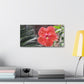Art Prints & Wall Art, Gallery Canvas with Peach Hibiscus Flower