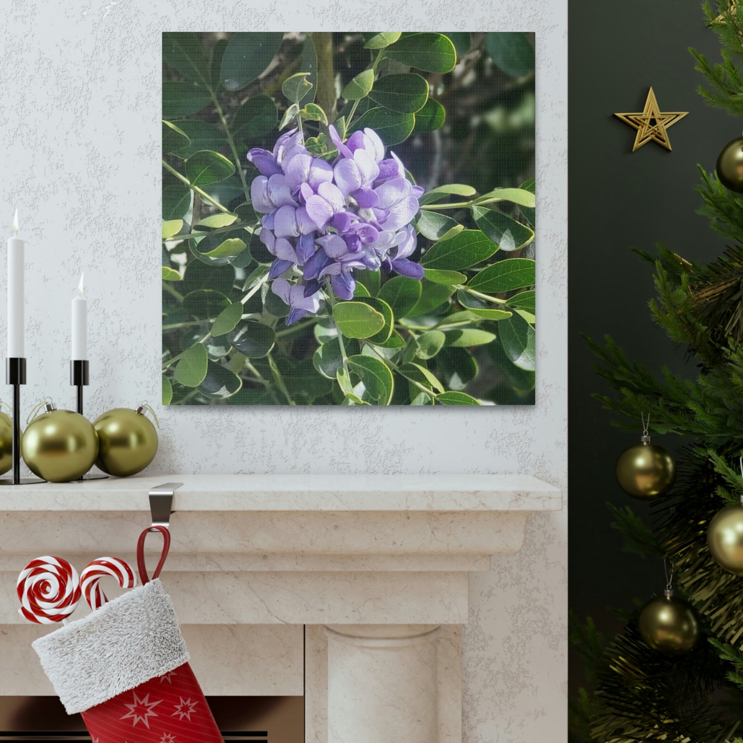 Purple Texas Mountain Laurel | Wall Art Canvas