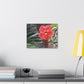 Art Prints & Wall Art, Gallery Canvas with Peach Hibiscus Flower