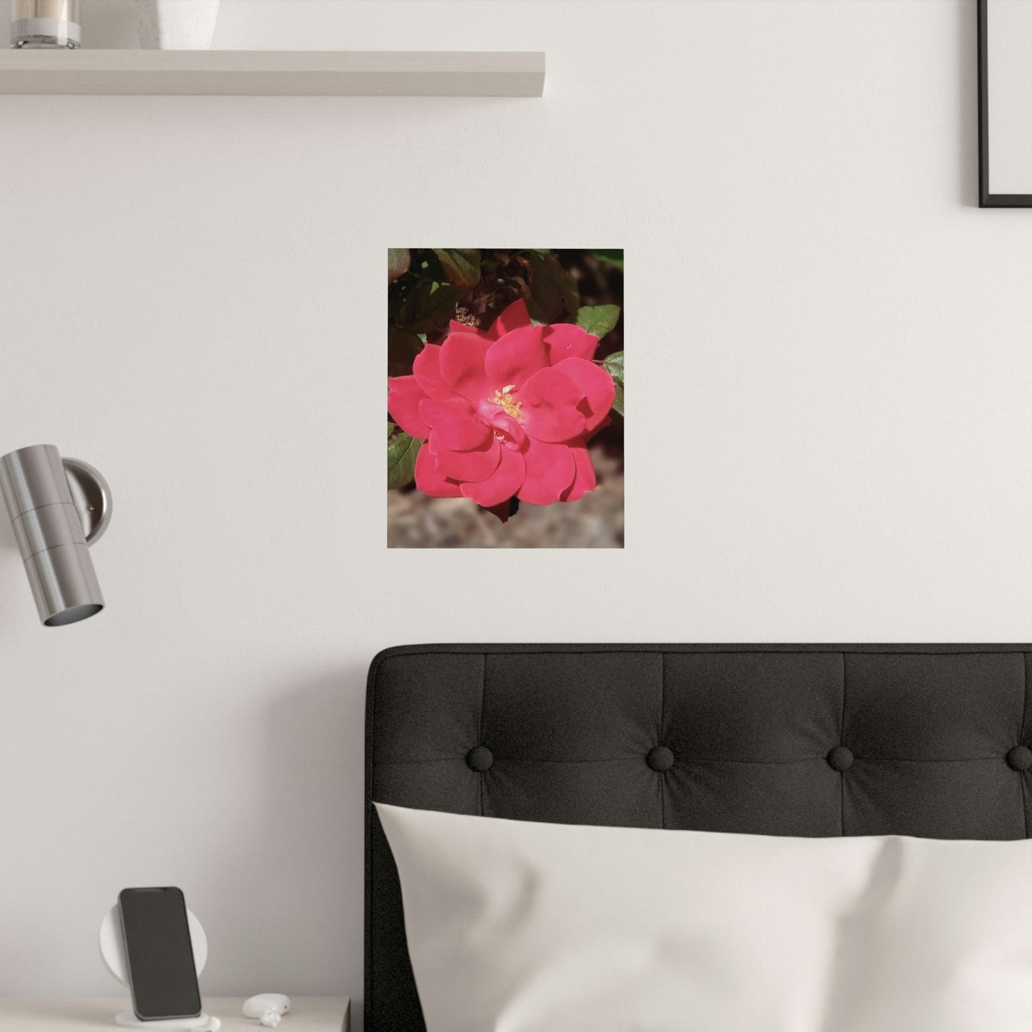Knockout | Satin Posters (210gsm) | High Bloom Collection | Life By Ortavia