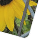 Sunflower Behind A Fence | Folio Phone Case | High Bloom Collection | Life By Ortavia