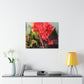 Red Canna | High Bloom Collection | Wall Art Print | Life By Ortavia