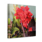 Red Canna | High Bloom Collection | Wall Art Print | Life By Ortavia