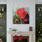 Red Canna | High Bloom Collection | Wall Art Print | Life By Ortavia