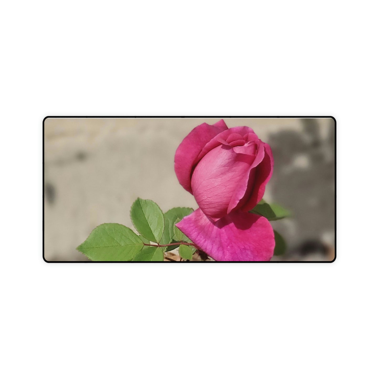 Dear Pink Rosa | High Bloom Collection | Desk Mat | Life By Ortavia
