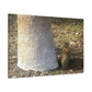 Squirrel and A Nut | Wall Art Print | Urban Geographic Collection | Life By Ortavia