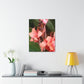 Art Prints & Wall Art, Canvas Gallery with Pink Canna Flower