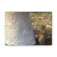 Squirrel and A Nut | Wall Art Print | Urban Geographic Collection | Life By Ortavia
