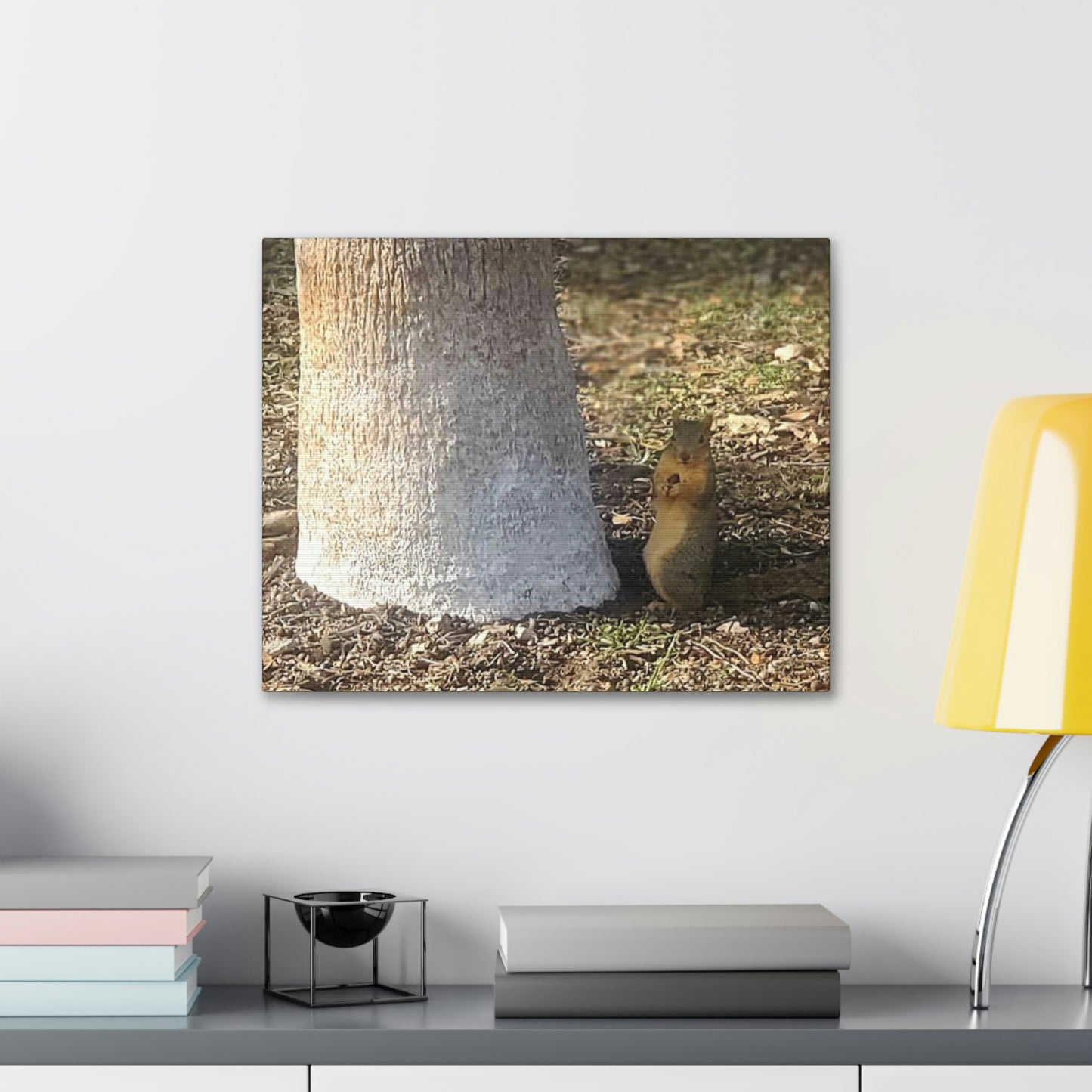 Squirrel and A Nut | Wall Art Print | Urban Geographic Collection | Life By Ortavia
