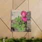 Dear Pink Rosa | High Bloom Collection | Canvas | Life By Ortavia