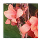 Art Prints & Wall Art, Canvas Gallery with Pink Canna Flower