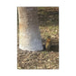 Squirrel and A Nut | Wall Art Print | Urban Geographic Collection | Life By Ortavia