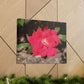 Knockout | Wall Art Print | High Bloom Collection | Life By Ortavia
